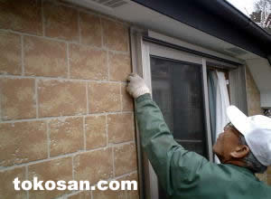 �J�ˍH���̗l�q