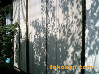 �J�˂̃��t�H�[������