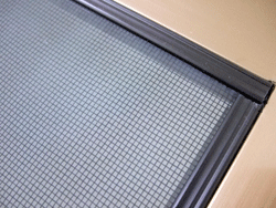 �t�B���^�[�Ԍ�