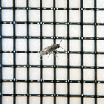 �X�b�L���Ԍ�