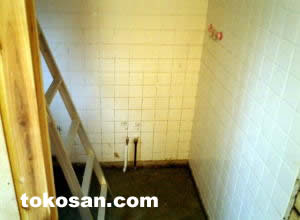 �V���ɉ��n������܂�