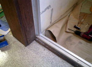 �V�����g