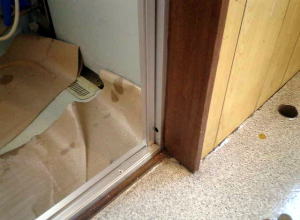 �V�����g