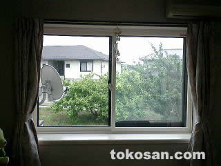 �������t����