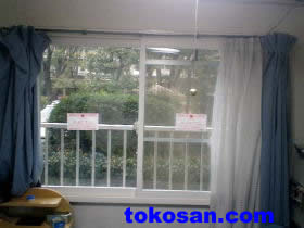 �������t����