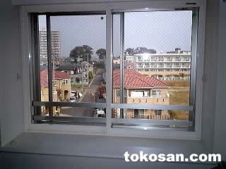 �������t����