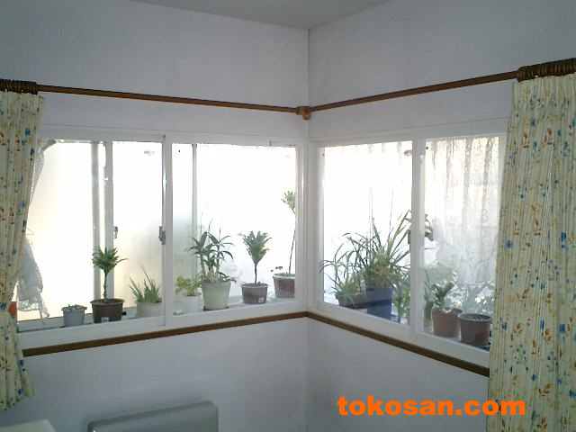 ������t����