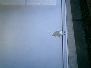 ����Ă��܂�