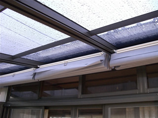 �ق����ł�