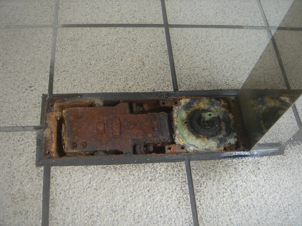 �q���W�̌���