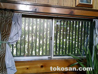 �X�y�[�V�A�H����