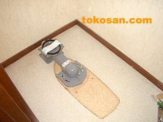 �����̕֊��P�����܂�