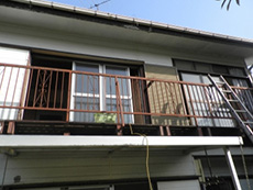 �o���R�j�[