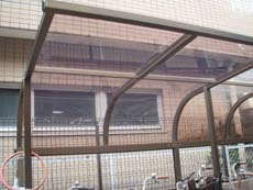 �T�C�N���|�[�g