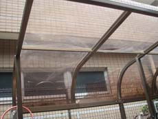 �T�C�N���|�[�g