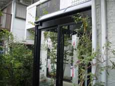 �ق����ł�