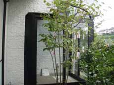 �ق����ł�