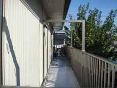 �A���~�o���R�j�[