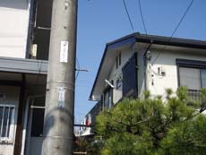 �o���R�j�[�̎�t