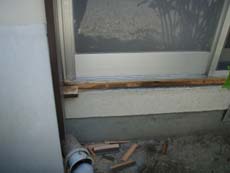 �x�����_���t�H�[��