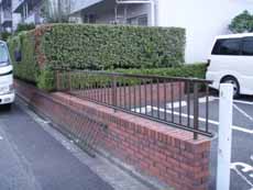 �t�F���X�̉��C