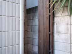 �G�N�X�e���A�h�A��t