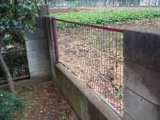 �t�F���X�̎��