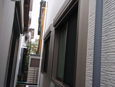 �ډB�����[�o�[