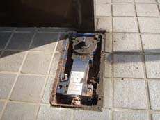 �t���A�q���W�̌���