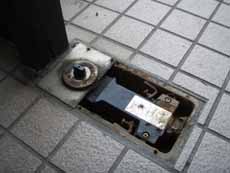 �t���A�q���W