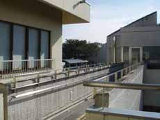 �n��L������