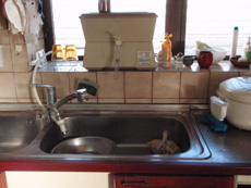 �A���J���C�I��������̎�t