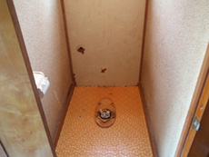 ���O����