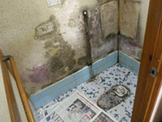 �X�^�b�t���