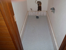 �X�^�b�t���