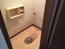 �g�C�����t�H�[��