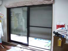 �����C���v���X